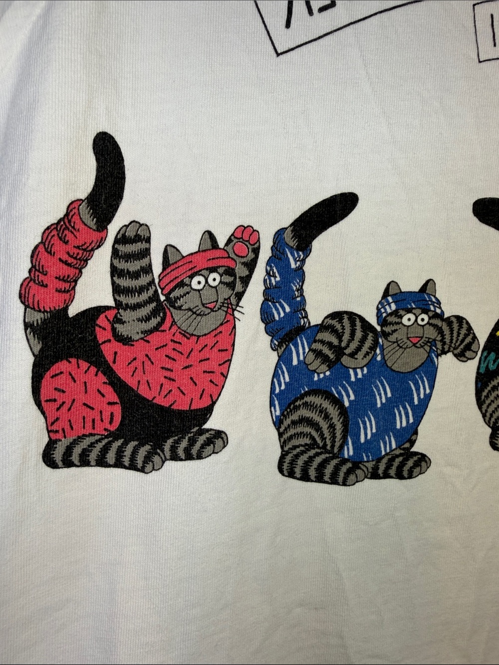 Vintage Kliban Cat Tank Top Feline Fitness Center Hawaii Women’s M Yoga Aerobics - Picture 10 of 15